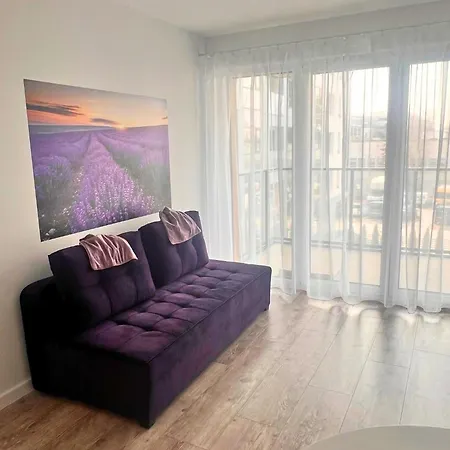 Purple Apartment *